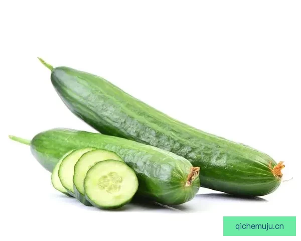 探寻“黄瓜视频”的魅力：从清新爽口到无限可能